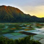 One Day Trip Eksplor Sembalun